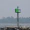 A gull on the Manistique west pier beacon