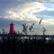 Manistique Light 17
