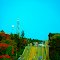 Fire Tower Ahead