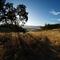 Lake Berryessa