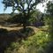 Off the Beaten Path: Berryessa NP