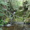Rocky Forty Falls