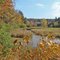 Backwater along the Black River