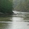 Strong current at change of tide