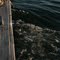 Tide Runs Hard in Cowseagan Narrows between Back River & Sheepscot River
