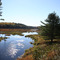 Route One Bog