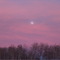 Winter Moon