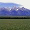 Panorama of Tetons
