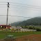 On top of Pine Mountain
