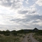 teacup mountain kimble county tx