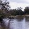 The Swimming Hole 1972