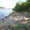 Lewis and Clark Beach Landing-KATY trail