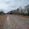 CSX coal train
