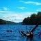 Upper Laurel Bed Lake