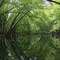 Rice Creek