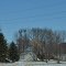 Farm