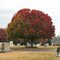 At Sunset Memorial Cemetery