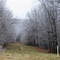 Ice Storm on the Mountains