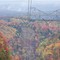 Powe lines and fall foliage