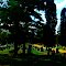 Mount Olivet Catholic Cemetery