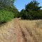 2012_07-14_Roman Nose SP Oklahoma Inspiration Point Trail_P1050210