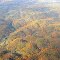 Fall Colors