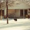 Our Old House