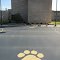 Paws on the basketball court (Spring Arbor Univ)