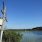 Today the electric poles are for birds (Lime Lake, Spring Arbor, MI)