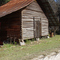 log barn, rural Madison County Florida (11-19-2006)