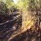 View from the tree stand