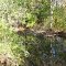 Beebe Creek in fall