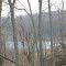 Redman Lake behind woods