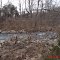Sycolin Creek, in Two Creeks park