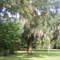 Johns Island, S.C. (Near Charleston)