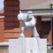 Bluto Statue 2008