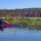 Upstream of Beaver Dam on Fall Stream
