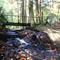 Bridge on Northville-Placid Trail
