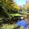 Lake Placid Trail Suspension Footbridge