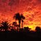 Florida Sunset