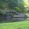 The Creek