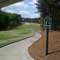 The Frog Golf Club -- #5