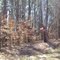 McKeown Rd Villa Rica GA Land For Sale 5.2 Acres