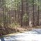 McKeown Rd Villa Rica GA Land For Sale 5.2 Acres