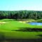 The Frog Golf Club