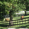 River Ridge Stables