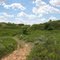Beaver Dunes Trail