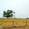 2011, Sitka, KS, USA - along Rte 160 north bound