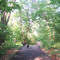 Jackson Park