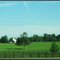 Horse Farm in Northern Kentucky